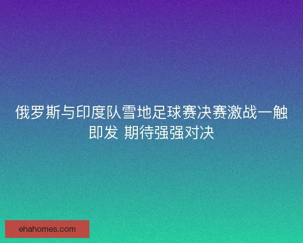 俄罗斯与印度队雪地足球赛决赛激战一触即发 期待强强对决